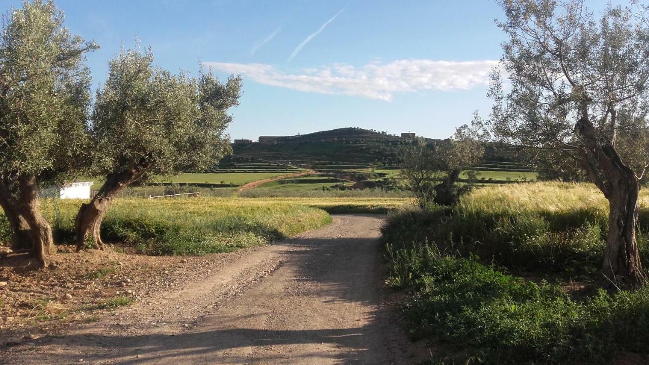 Castillonroy Casa Rosalia旅馆 外观 照片